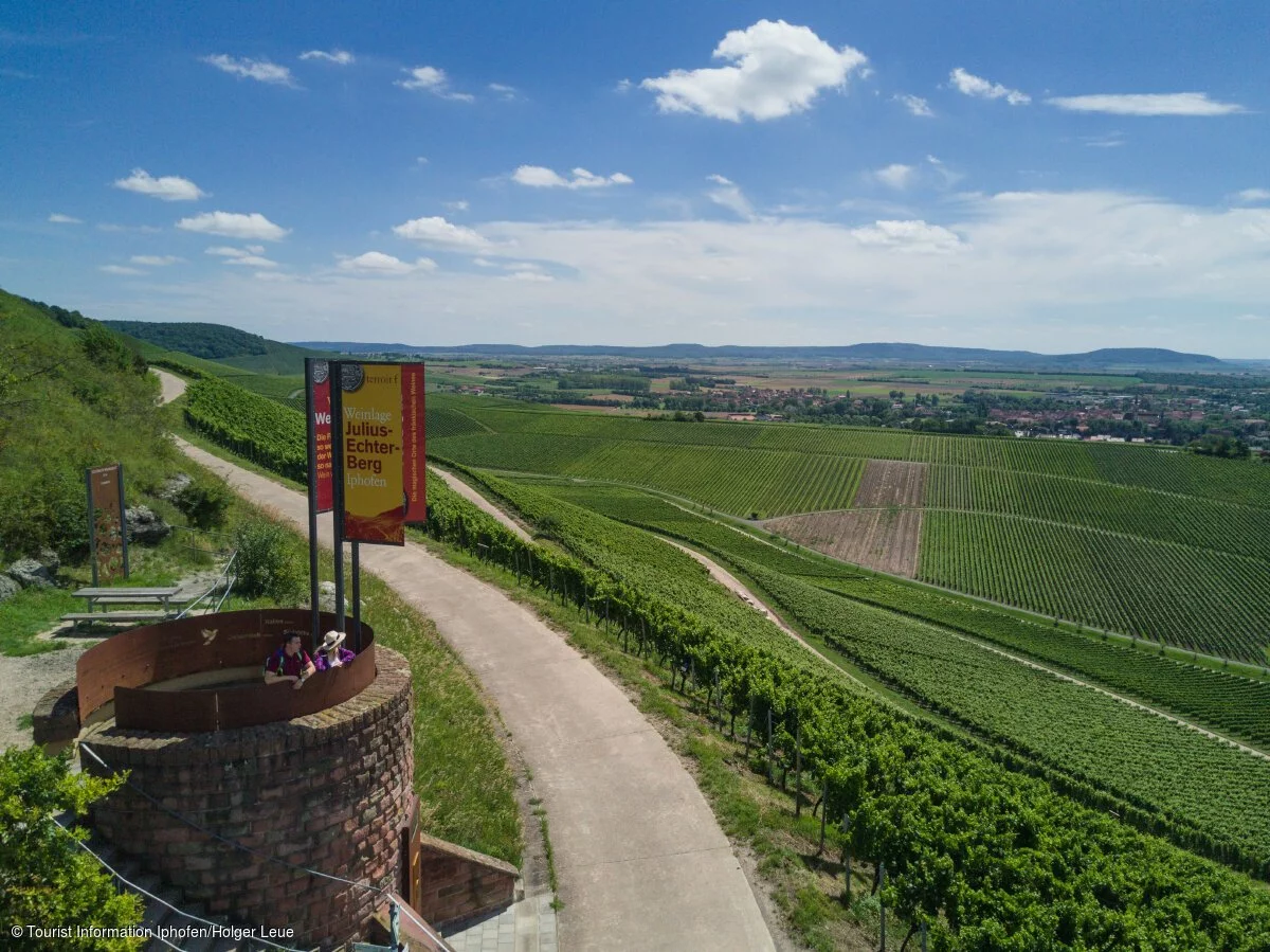 Magischer Blick vom terroir f (Iphofen, Fränkisches Weinland)