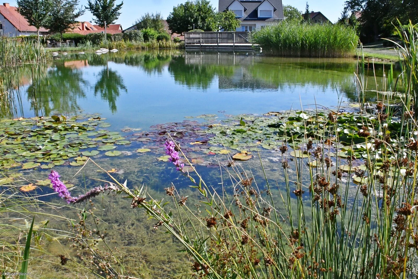 Eichenhauser See (Wülfershausen, Haßberge)