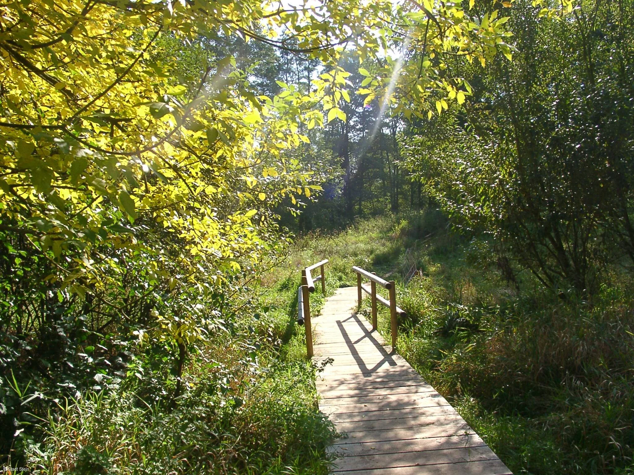 Grüne Wege zum Radeln und Wandern (Stein, Romantisches Franken)