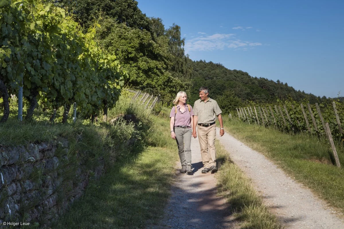 Fränkischer Rotweinwanderweg (Miltenberg, Spessart-Mainland)