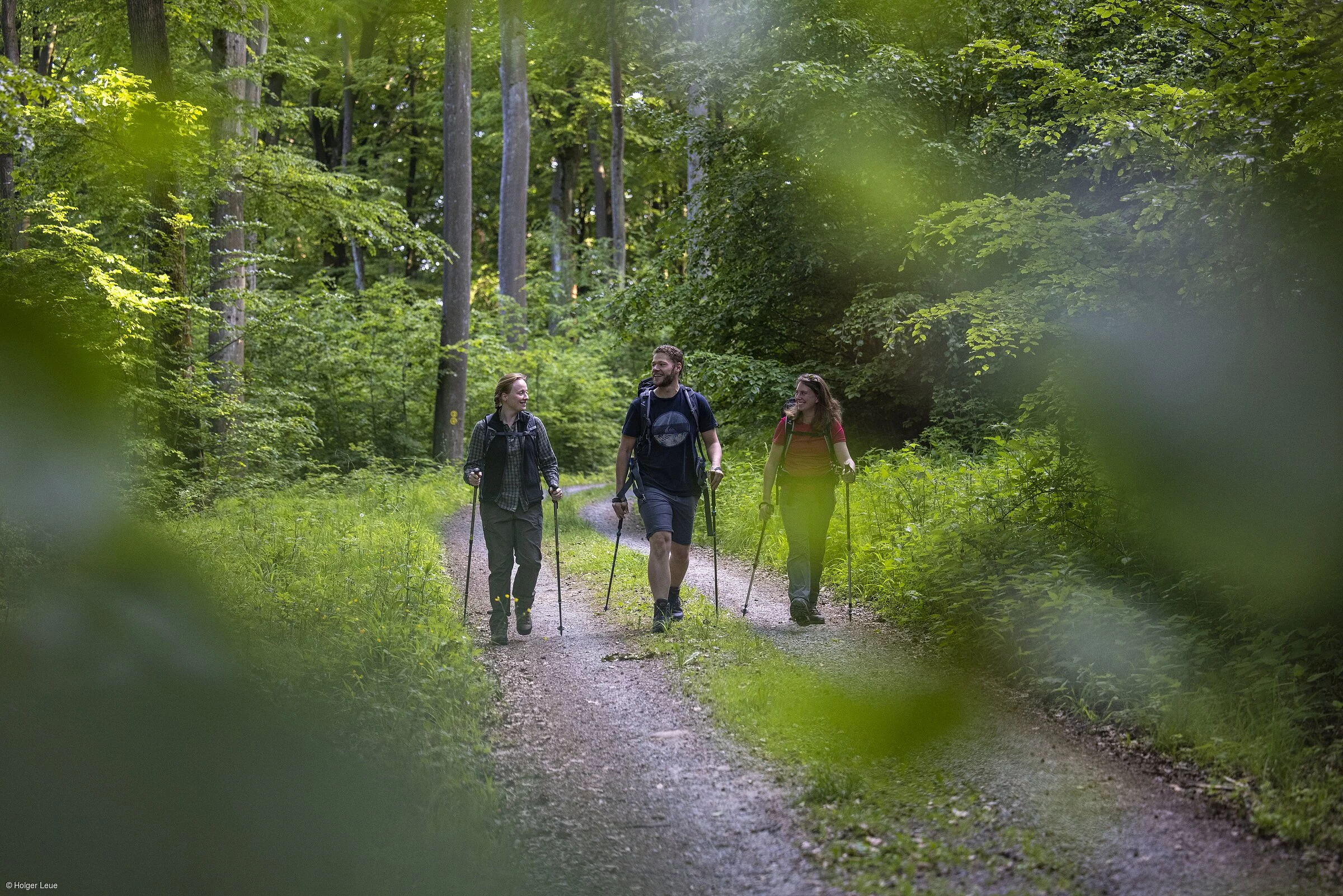 Wandern (Obernburg a.Main, Spessart-Mainland)