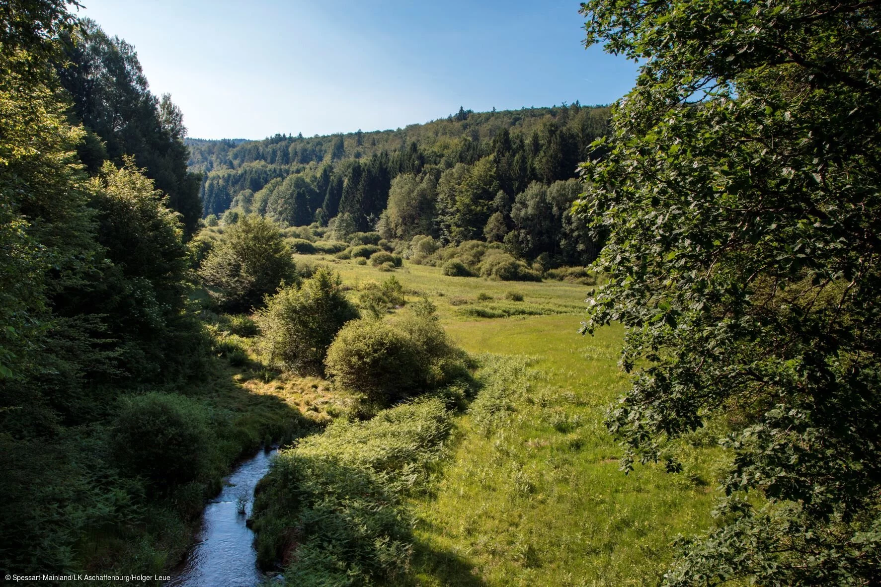 Hafenlohrtal (bei Rothenbuch, Spessart-Mainland)