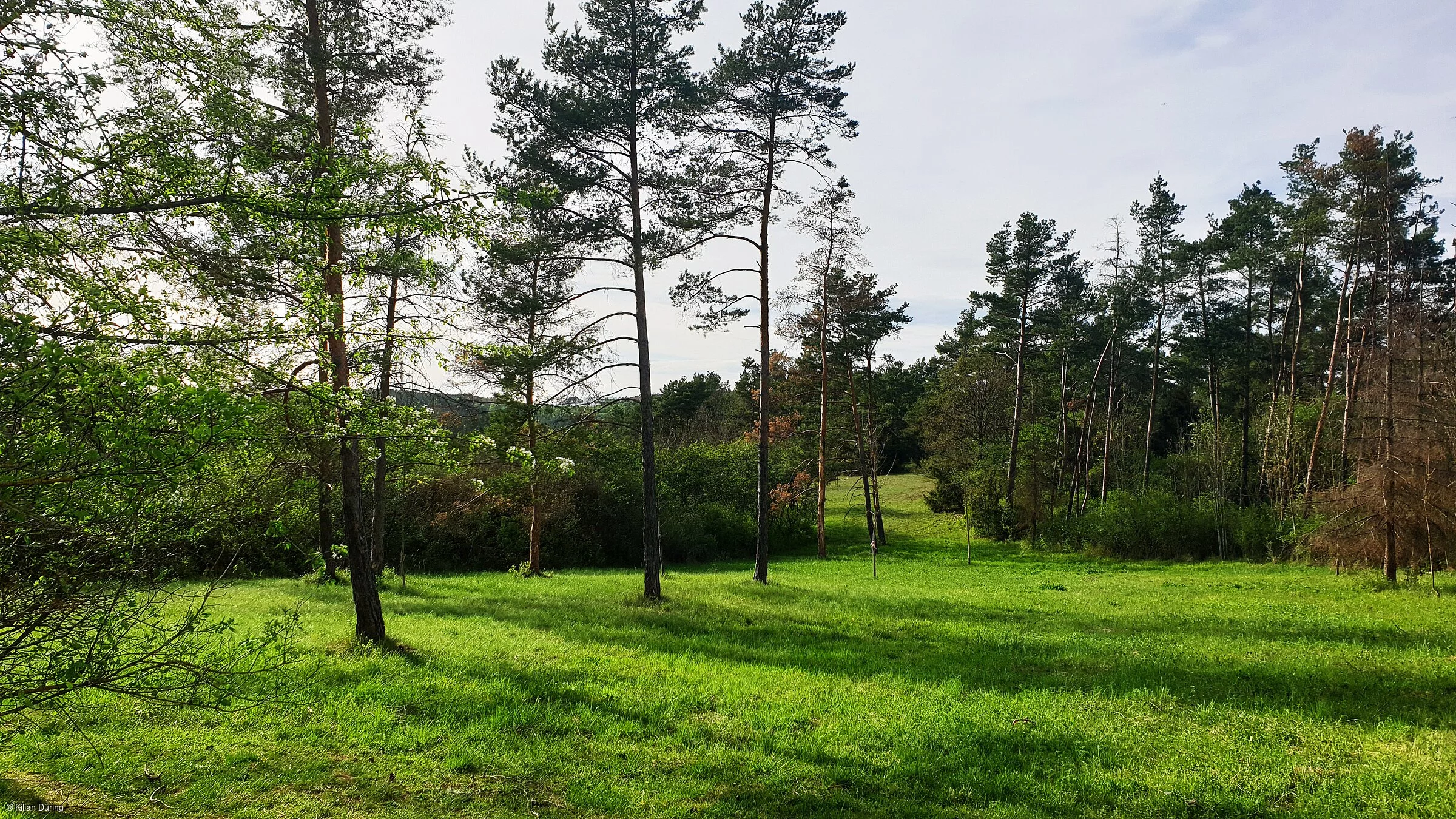 Wanderparadies (Münnerstadt, Rhön)