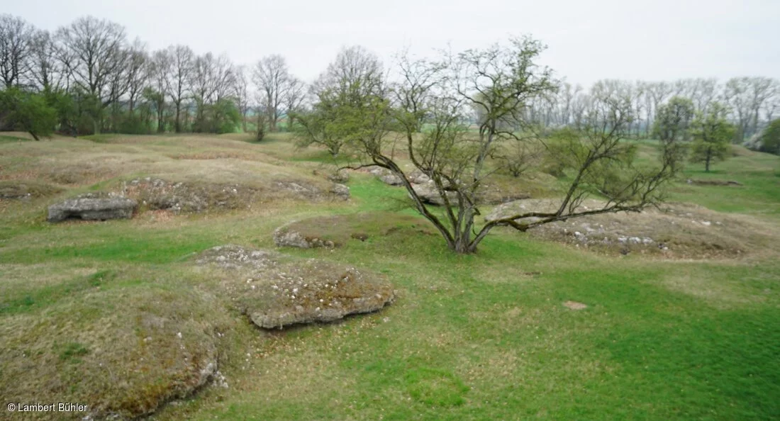 Gipshügel (Sulzheim, Steigerwald)