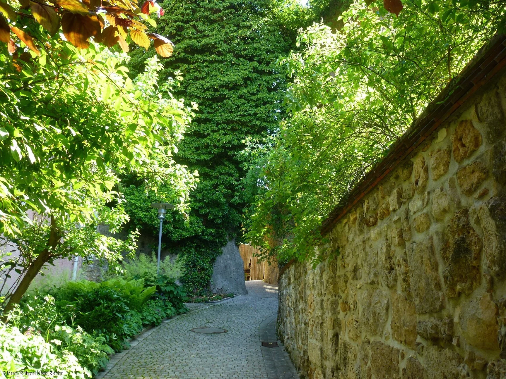 Schlossgasse (Königstein, Nürnberger Land)