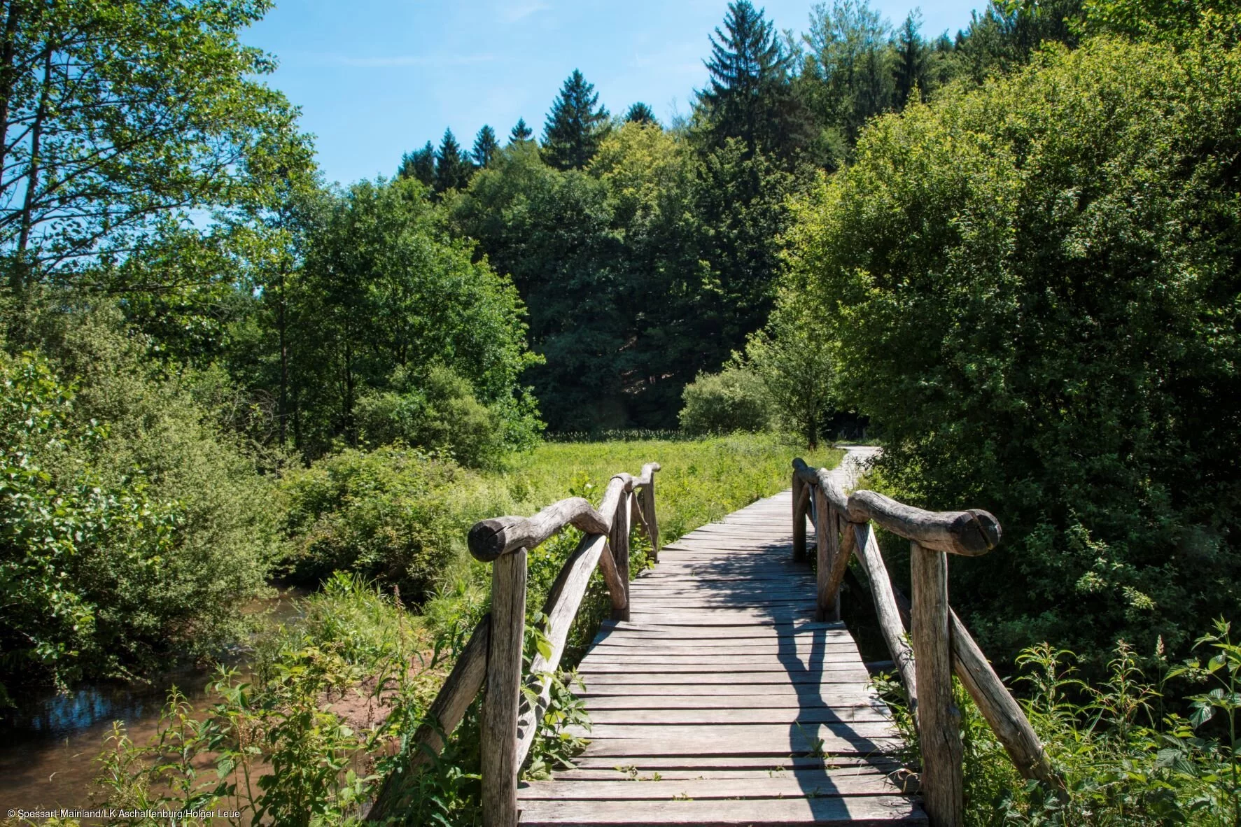 Bohlensteg im Hafenlohrtal (bei Rothenbuch, Spessart-Mainland)