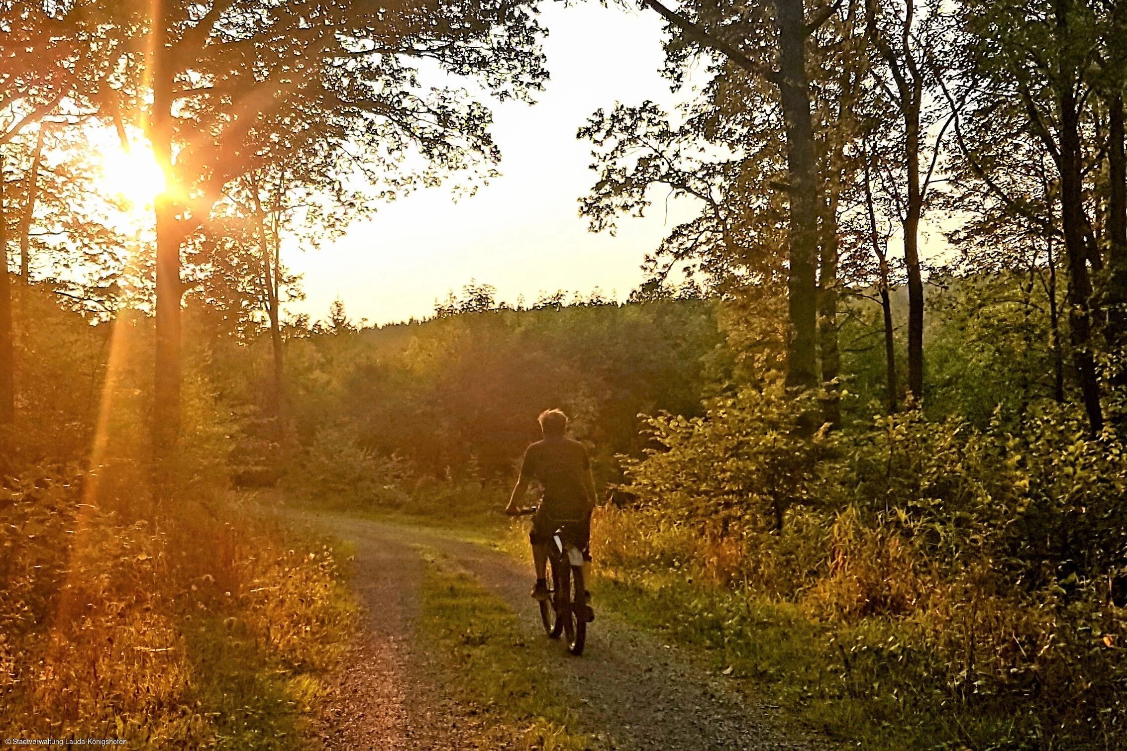 Radeln in den Sonnenuntergang (Lauda-Königshofen, Liebliches Taubertal)