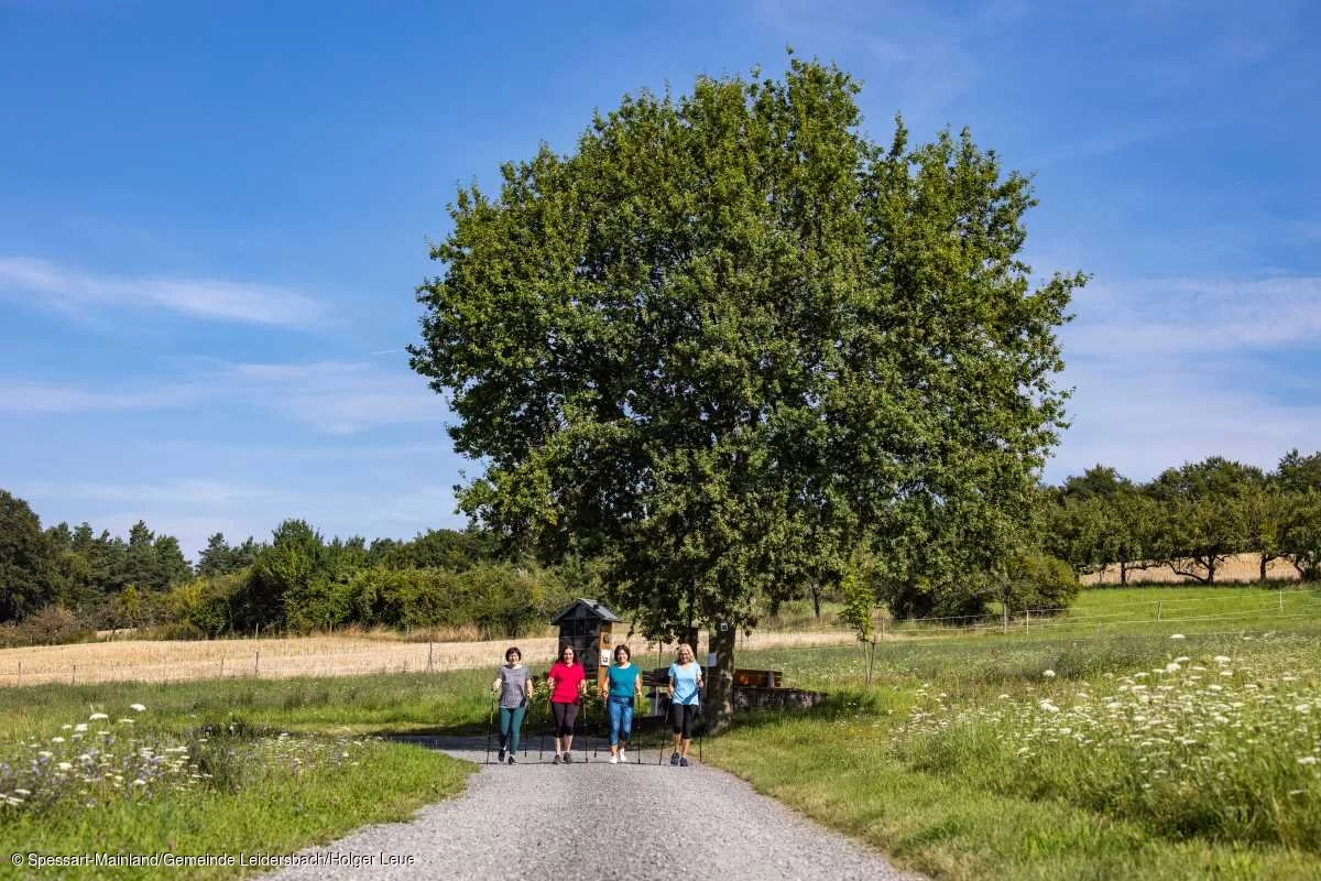 Nordic-Walking (Leidersbach, Spessart-Mainland)