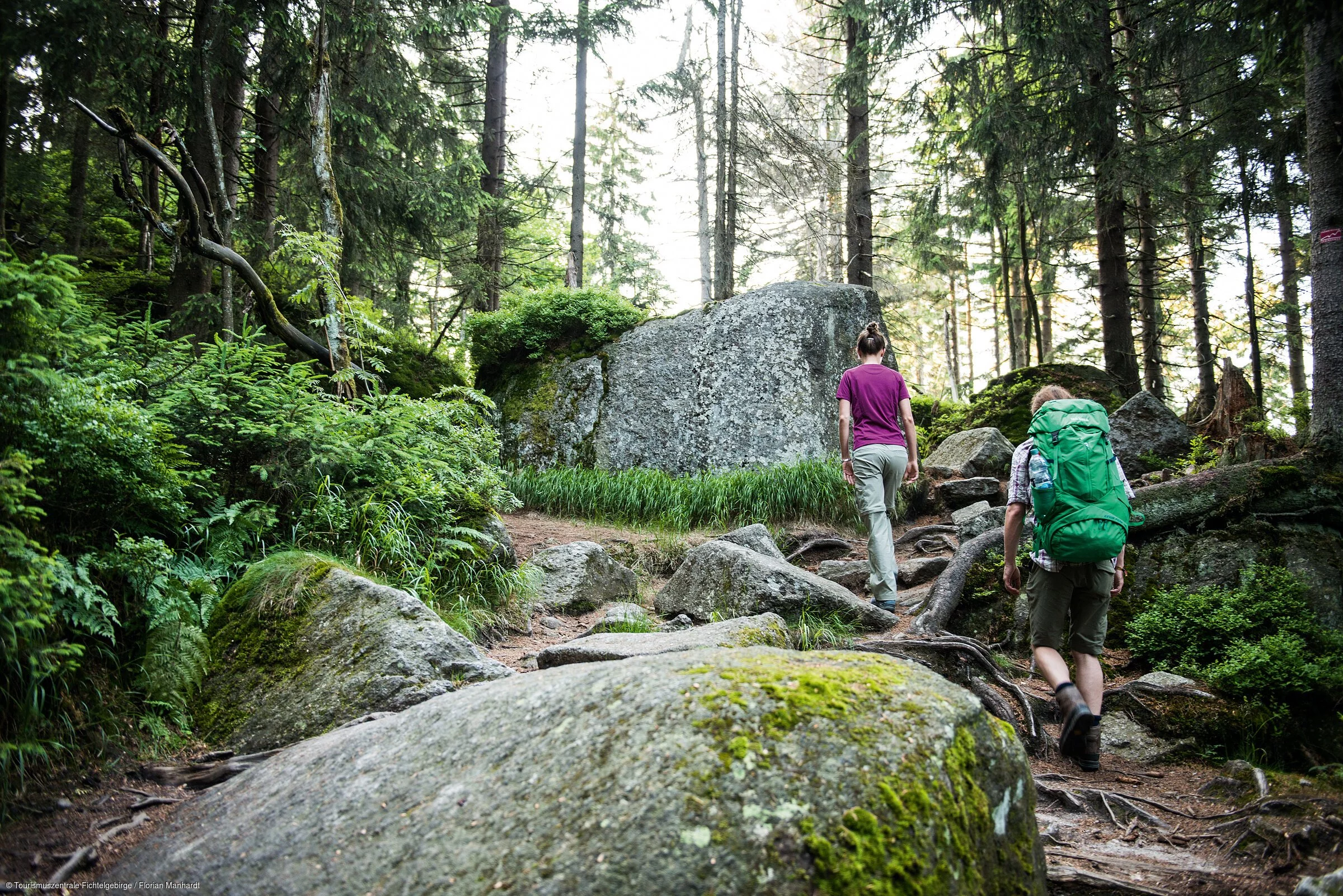 Wandern im Wald (Fichtelgebirge)