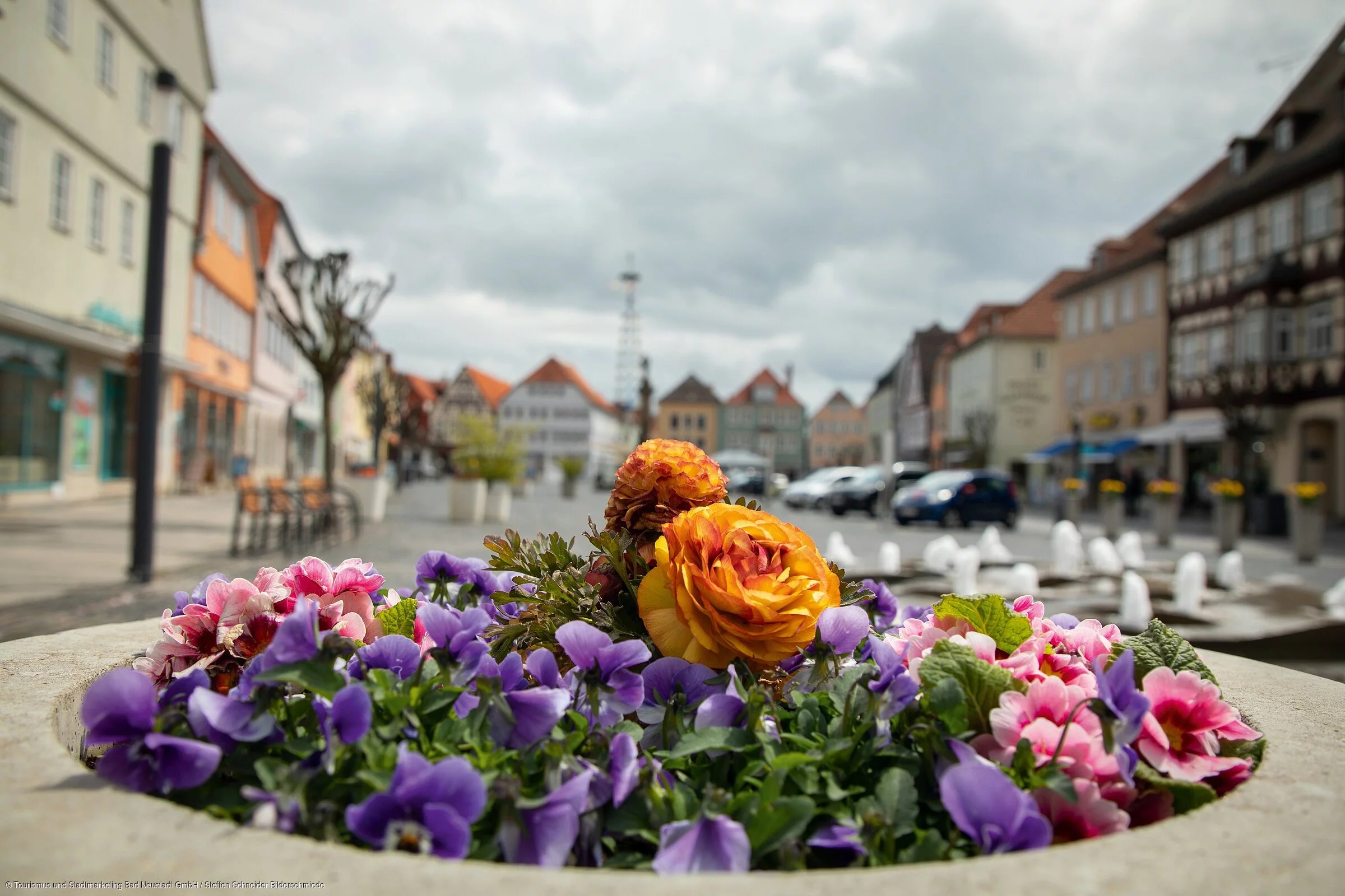 Frühling in der Stadt (Bad Neustadt a. d. Saale, Rhön)