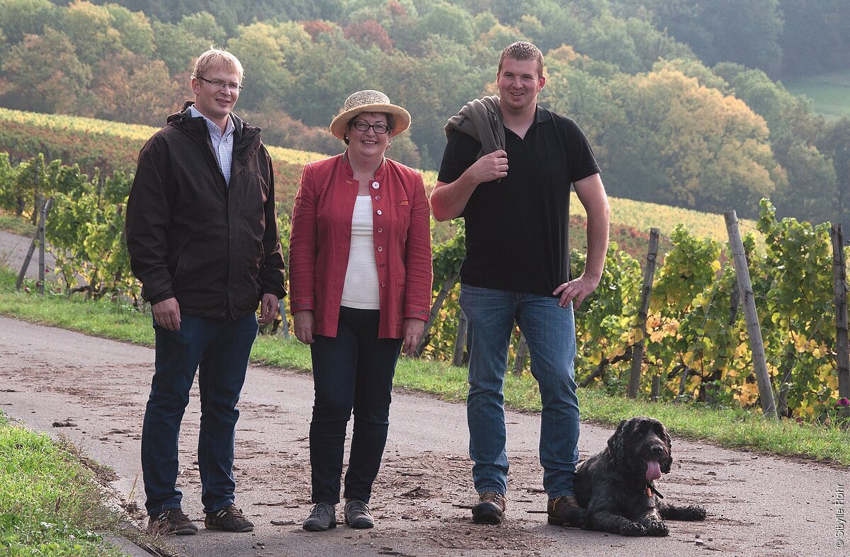 Weingut Ernst Popp (Iphofen, Fränkisches Weinland)