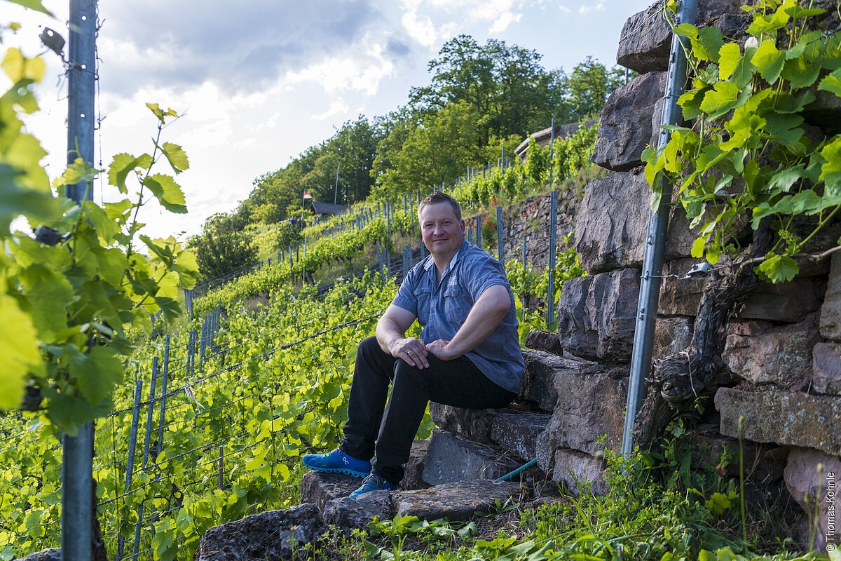 Weingut Höfling (Eußenheim, Fränkisches Weinland)