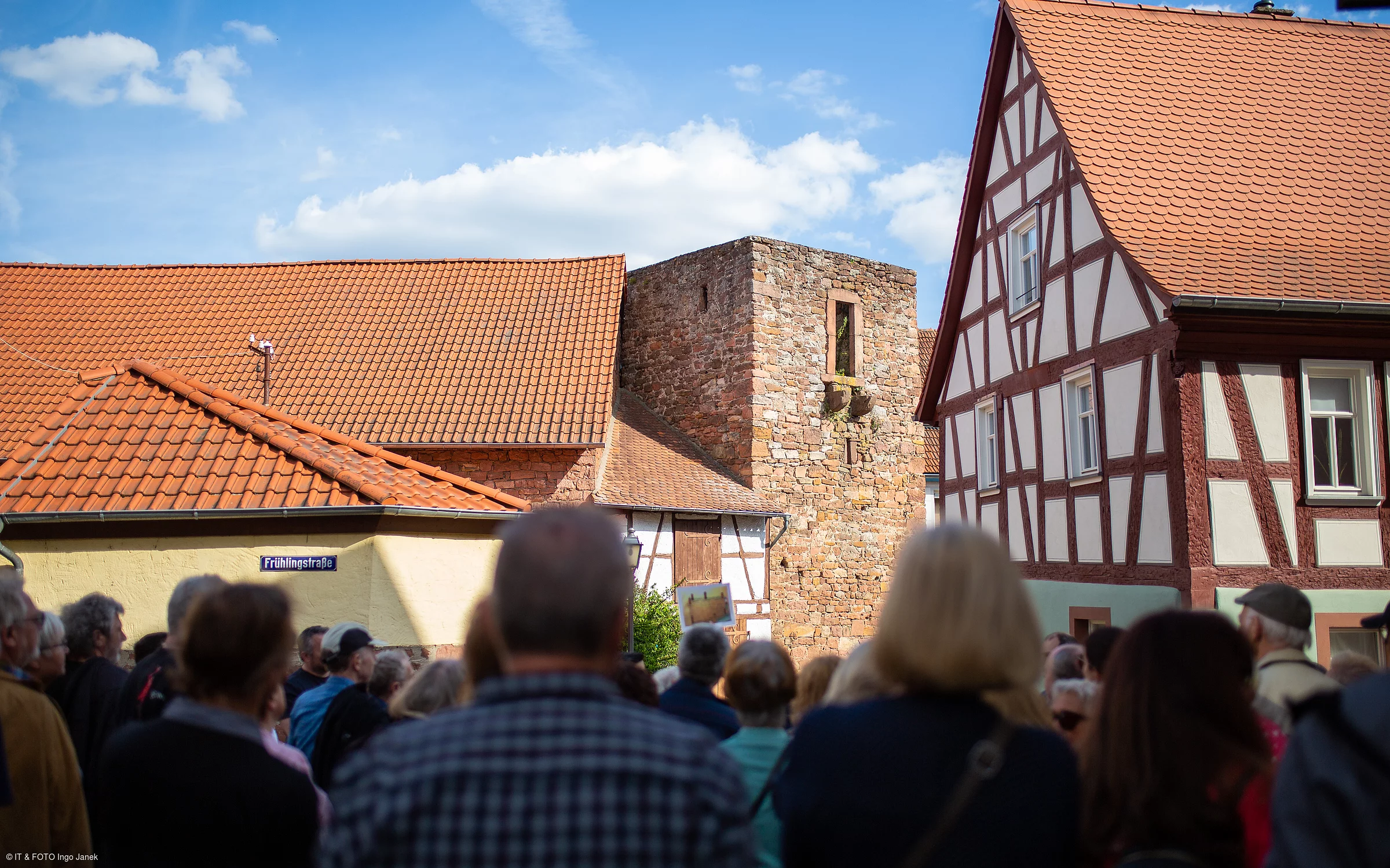 Stadtführung (Obernburg a.Main, Spessart-Mainland)