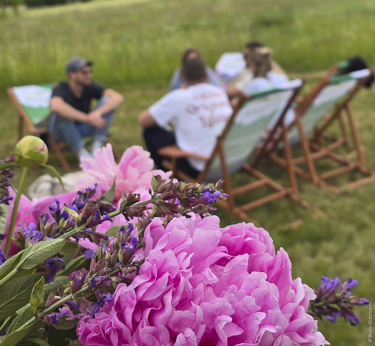 Panoramatag am WeinSteiger (Gerolzhofen, Steigerwald)