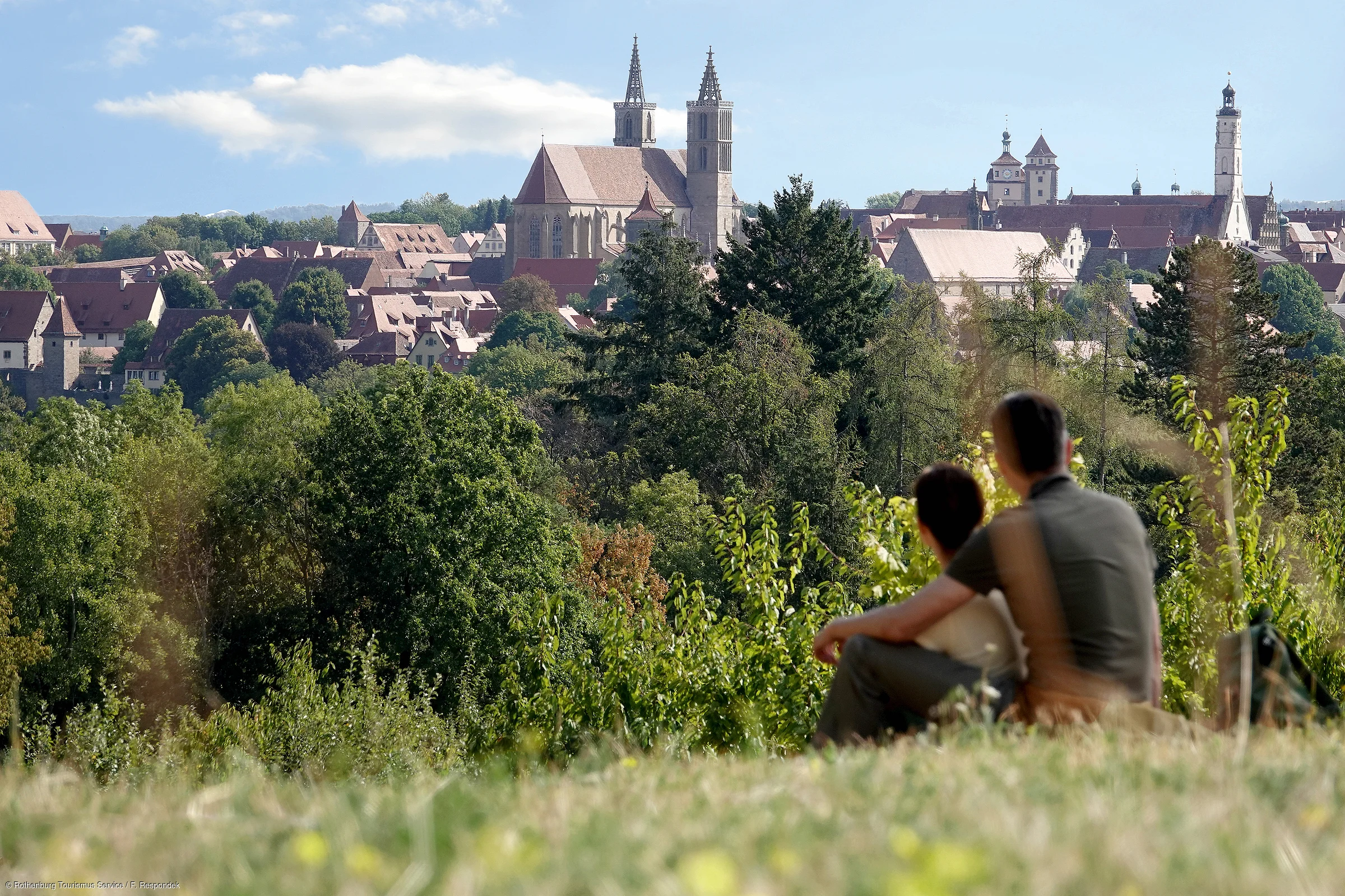 Zwei Personen sitzen auf einer Wiese und blicken auf eine Stadt mit historischen Gebäuden und Kirchtürmen.